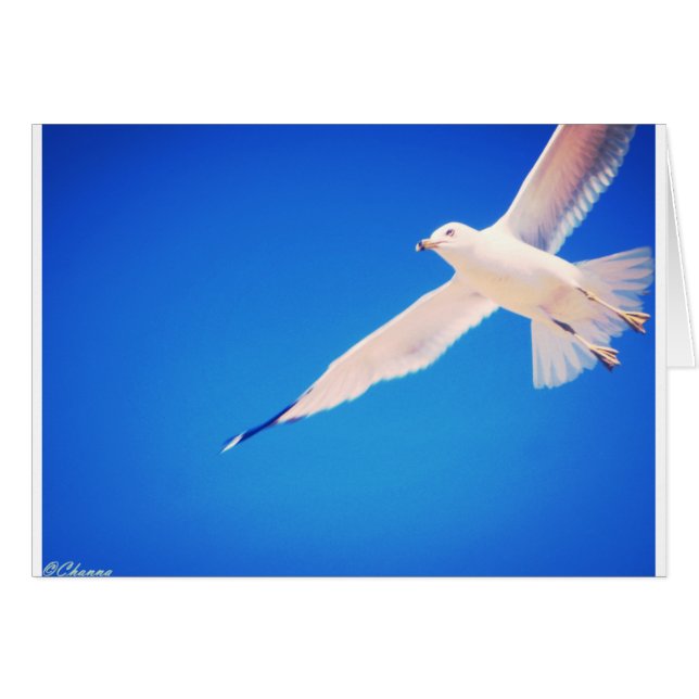 De zeemeeuw door de hemel (Voorkant Horizontaal)