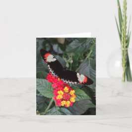 De Zeer belangrijke Vlinder Notecard van de piano Kaart