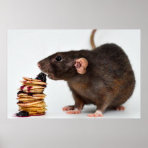 De zeer hongerige rat