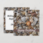 De zeeschelpen op de Zee kust (Voorkant / Achterkant)