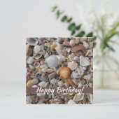 De zeeschelpen op de Zee kust (Staand voorkant)