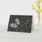 De zeeschelpenWenskaart van de vlinder Kaart (Gele Bloem)