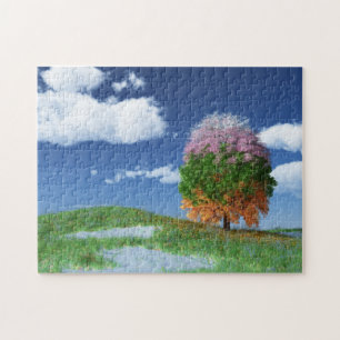 De zeespiegelpuzzel legpuzzel