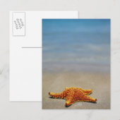 De Zeester van het kussen Briefkaart (Voorkant / Achterkant)