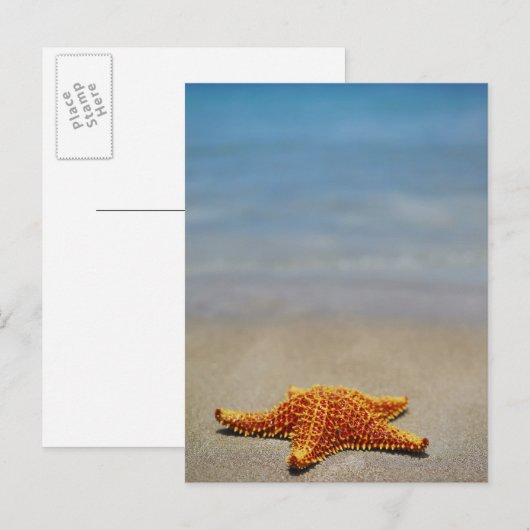 De Zeester van het kussen Briefkaart (Voorkant / Achterkant)