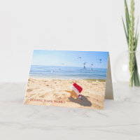 De zeester van Kerstmis op de kust met zeemeeuwen