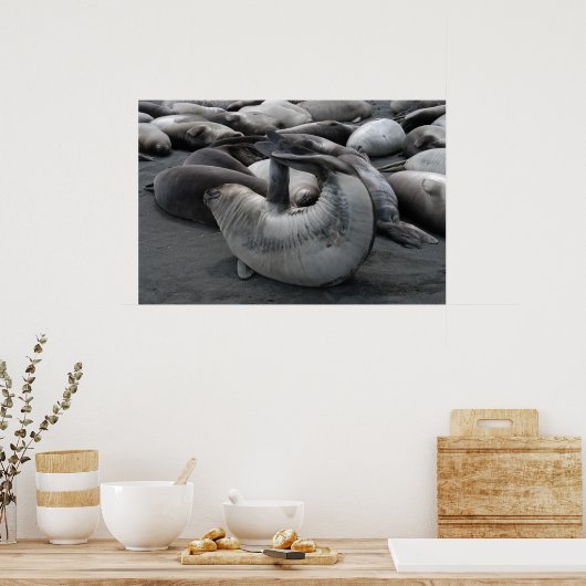 De zegel van de zeemeermin (Poster) Poster (Keuken)