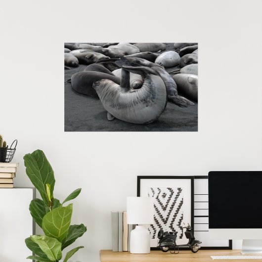 De zegel van de zeemeermin (Poster) Poster (Thuiskantoor)