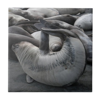 De zegel van de zeemeermin - Tile Tegeltje