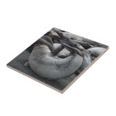 De zegel van de zeemeermin - Tile Tegeltje (Zijkant)