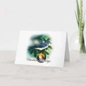 De Zegen van Kerstmis - Kerstkaart - Vogel en of Feestdagen Kaart (Voorkant)