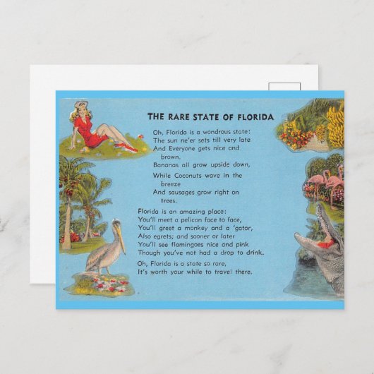 De zeldzame staat Florida Briefkaart (Voorkant / Achterkant)