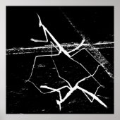 De zen mantis poster (Voorkant)