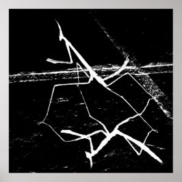 De zen mantis poster