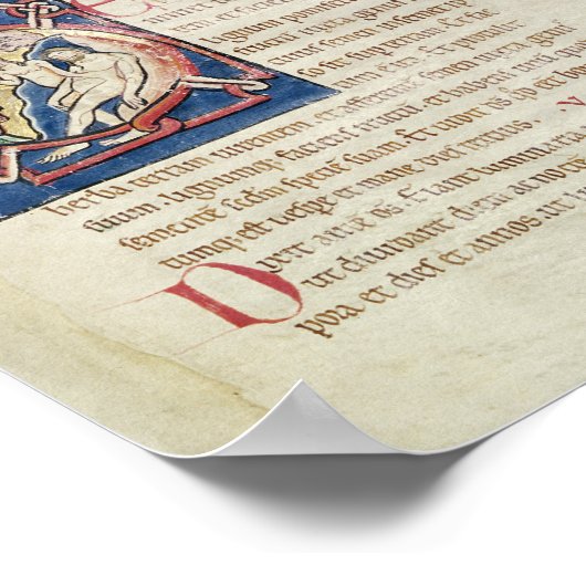 De zes dagen van de schepping poster (Hoek)