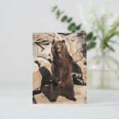 De Zeug van de grizzly Briefkaart (Staand voorkant)