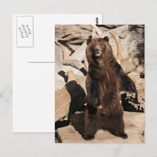 De Zeug van de grizzly Briefkaart (Voorkant / Achterkant)