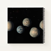 De zeven aardse planeten van Trappist-1 Notitieboek (Achterkant)