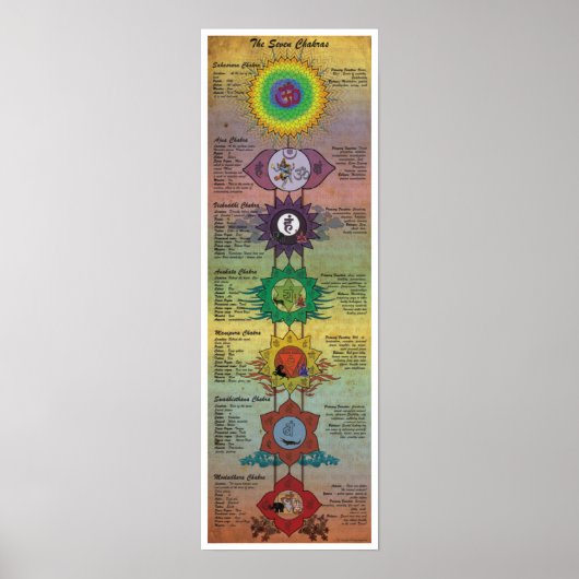 De Zeven Chakras Poster (Voorkant)