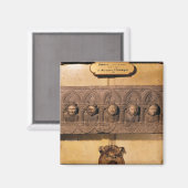 De zeven dagen zonnen magneet (Voorkant / Achterkant)