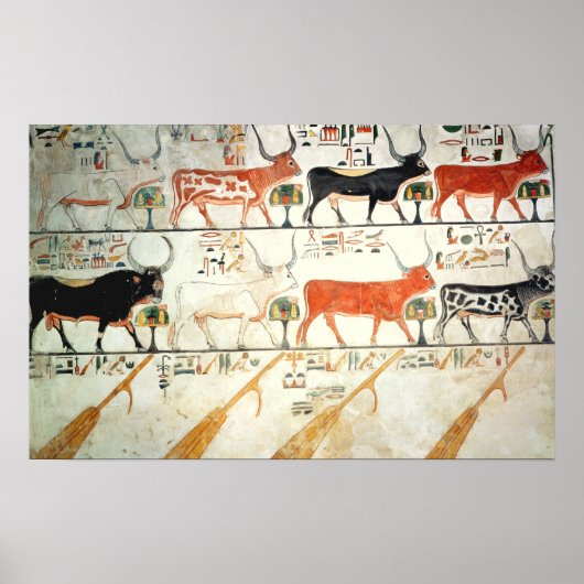De zeven hemelse koeien en de heilige stier poster (Voorkant)