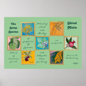 De zeven soorten of de sjiitische minister poster (Voorkant)