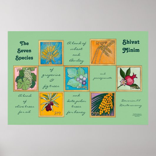 De zeven soorten of de sjiitische minister poster (Voorkant)