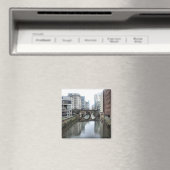 De zichtbare grensmagneet magneet (Insitu (Vaatwasser))