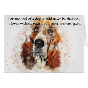 De ziel van een hond