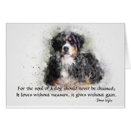 De ziel van een hond - Berner Sennenhond