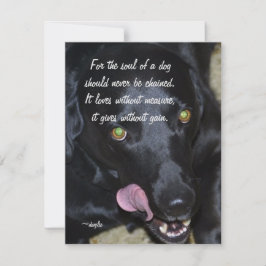 De Ziel van een Hond - Black Lab Feestdagenkaart