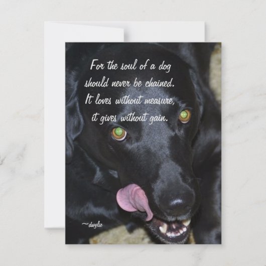 De Ziel van een Hond - Black Lab Feestdagenkaart (Voorkant)