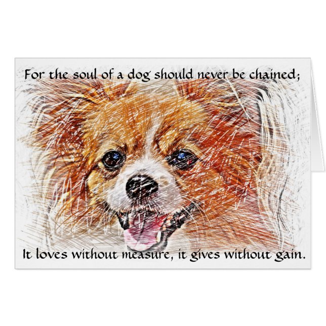 De ziel van een hond - Chihuahua (Voorkant Horizontaal)