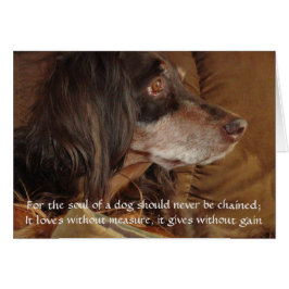 De ziel van een hond - "Voor Milly"