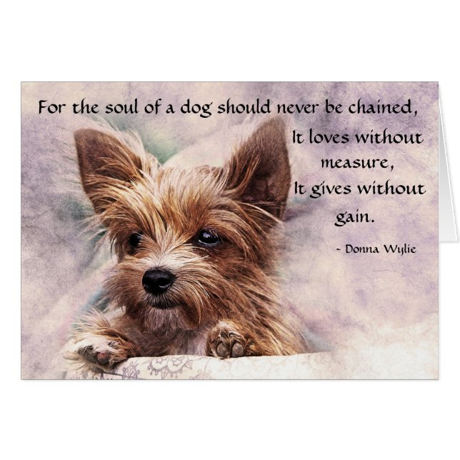 De ziel van een hond - Yorkie (Voorkant Horizontaal)