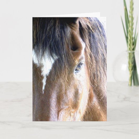De ziel van het paardenhoofd Close-Up Fotografie Kaart (Voorkant)