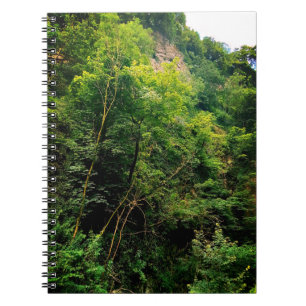 De zijkant van bomen notitieboek