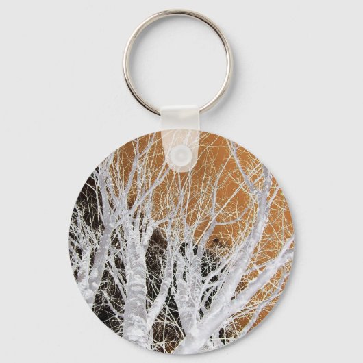 De zilveren Sleutelhanger van de Kunst van de Boom (Voorkant)