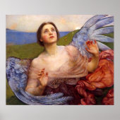 De zin van de Sight Poster (Voorkant)