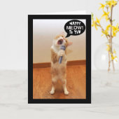 De zingende Kaart van de verjaardag van de kat (Gele Bloem)