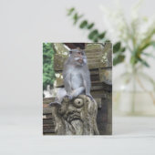 De zitting van de aap bij een standbeeld in Bali Briefkaart (Staand voorkant)