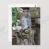 De zitting van de aap bij een standbeeld in Bali Briefkaart (Voorkant / Achterkant)