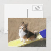 De zitting van de Herdershond van CuteShetland op Briefkaart (Voorkant / Achterkant)