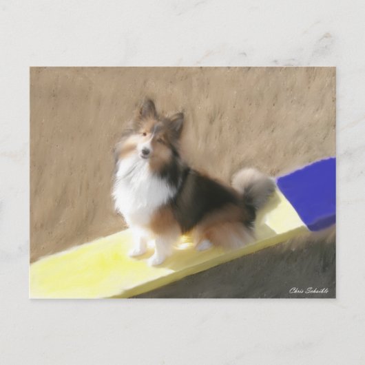 De zitting van de Herdershond van CuteShetland op Briefkaart (Voorkant)