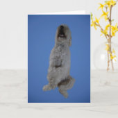 De Zitting van Goldendoodle op Wenskaart Kaart (Gele Bloem)