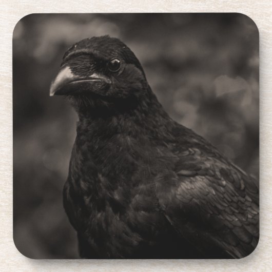 De zoeker drankjes onderzetter (Voorkant)