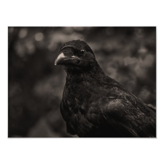 De zoeker foto afdruk (Voorkant)