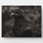 De zoeker fotoplaat (Voorkant)