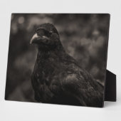 De zoeker fotoplaat (Zijkant)