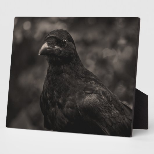 De zoeker fotoplaat (Zijkant)